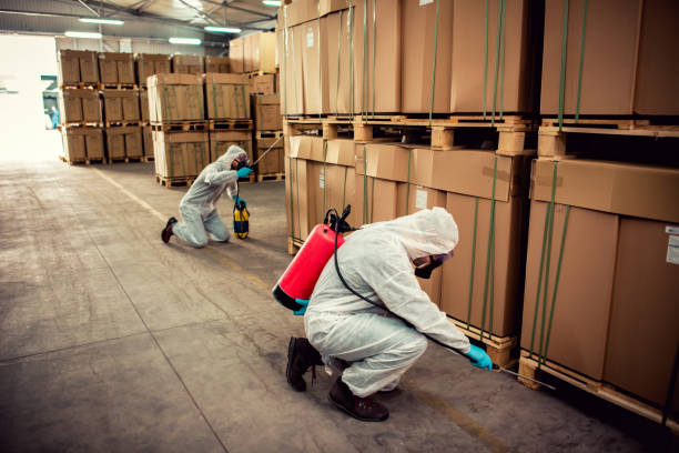 Best Termite Control Services  in Singac, NJ