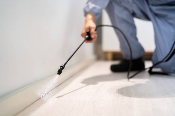 Flea Control Services in Singac, NJ