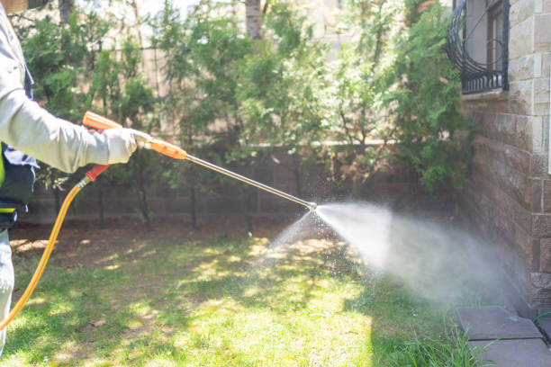 Best Pest Removal Services  in Singac, NJ