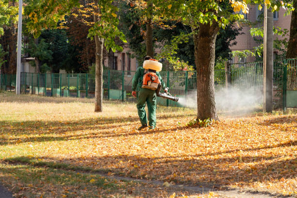 Reliable Singac, NJ Pest Control Solutions