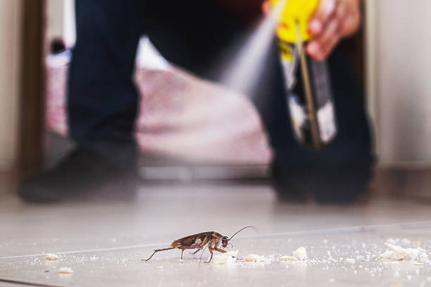 Best Residential Pest Control  in Singac, NJ