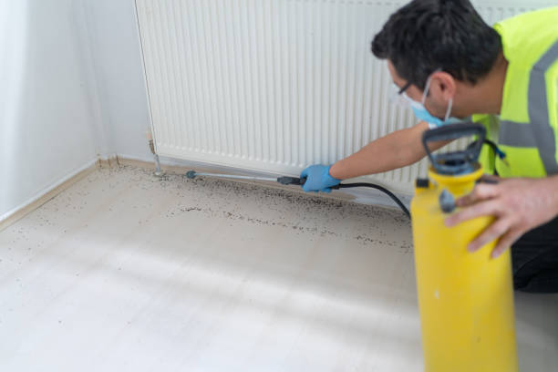 Best Rat Extermination Near Me  in Singac, NJ